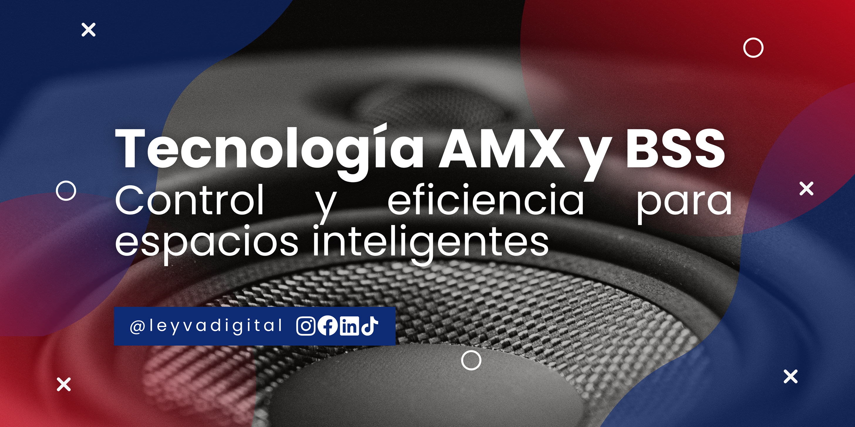 ecnología AMX y BSS